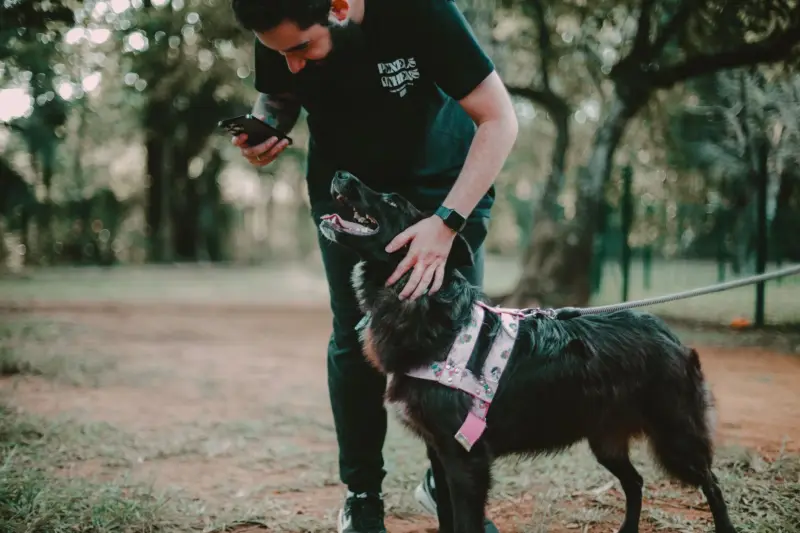 Un hombre juega con su perro usando un smartphone en un parque en São Paulo, Brasil.